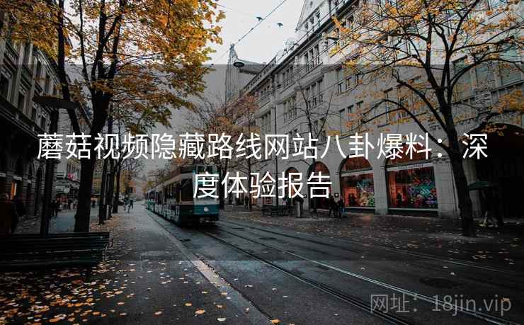 蘑菇视频隐藏路线网站八卦爆料:深度体验报告