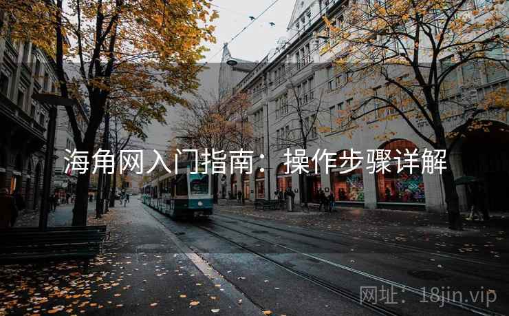海角网入门指南:操作步骤详解